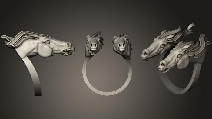 Jewelry rings (JVLRP_0643) 3D model for CNC machine